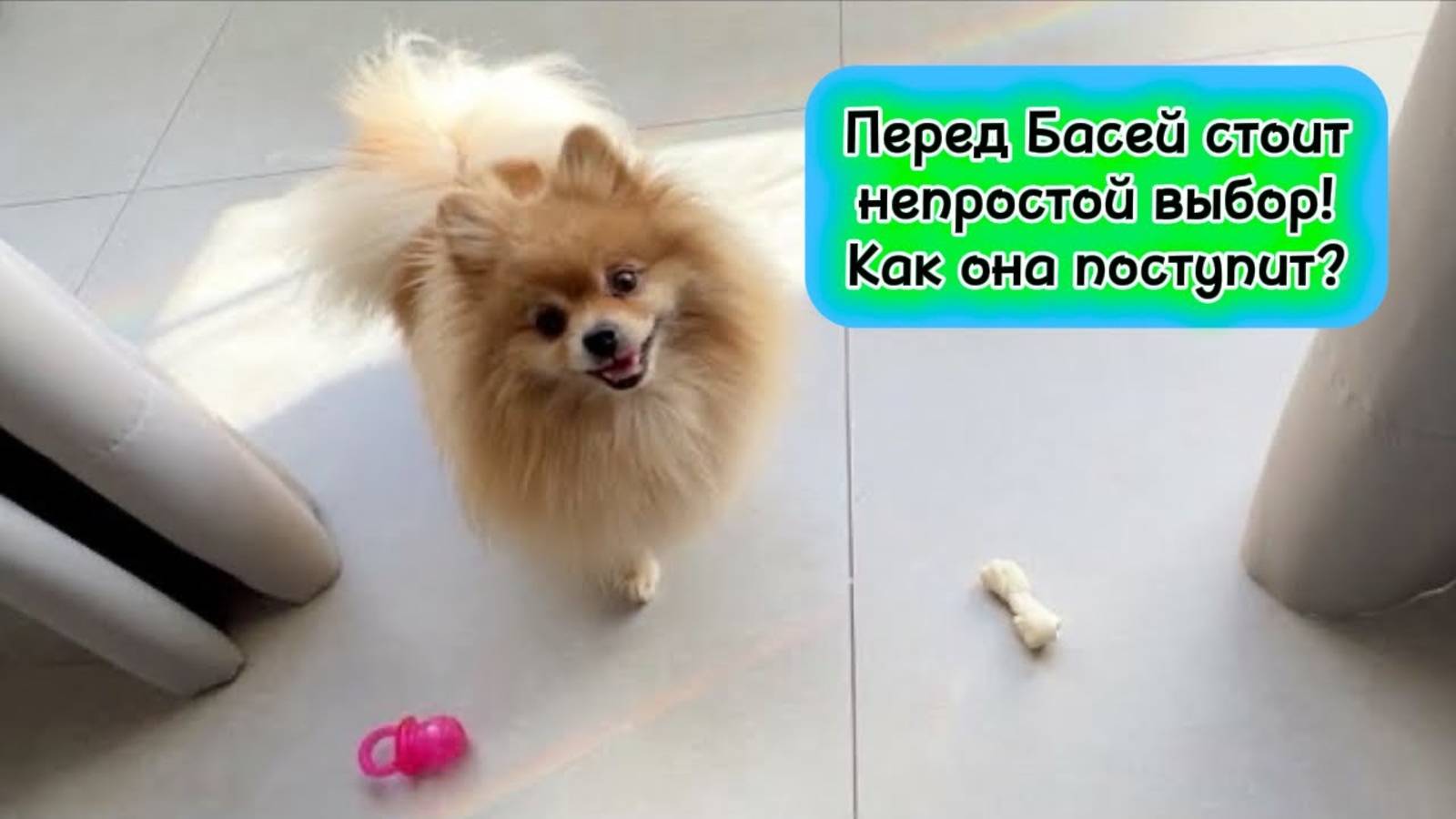 Перед Басей стоит непростой выбор! Как она поступит?