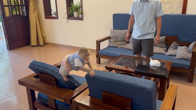 So funny, Max Monkey angry with daddy for coming home late. смотреть онлайн