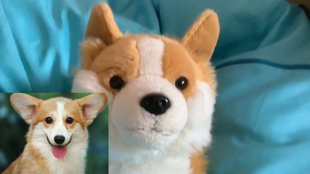 Я ВЛЮБИЛСЯ В КОРГИ ДЕВОЧКУ!? КАААПЕЕЕЦЦ! У НАС БУДУТ ЩЕНКИ!? КОРГИ РОККИ ГОВОРЯЩАЯ СОБАКА смотреть онлайн