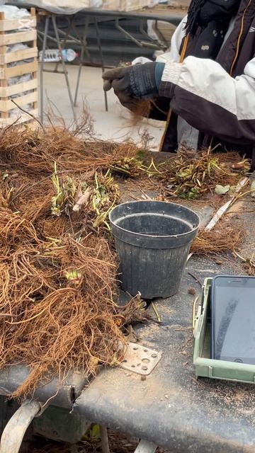 Рабочий прцесс