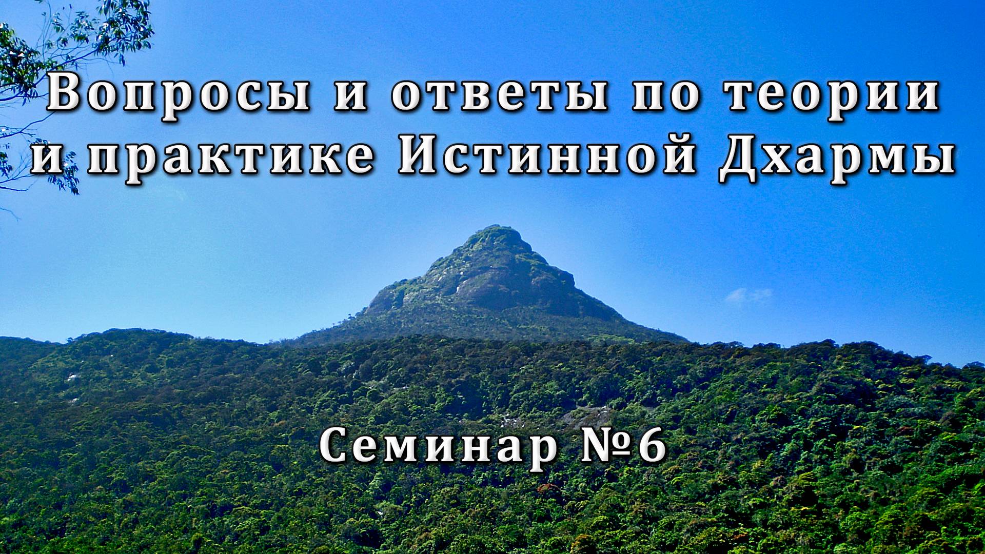 Вопросы и ответы по теории и практике Истинной Дхармы. Семинар №6