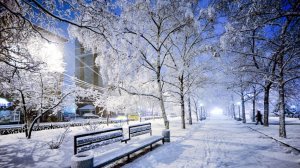 Снег в декабре (С. Одинцов) разбор на гармони №-408 с цифрами