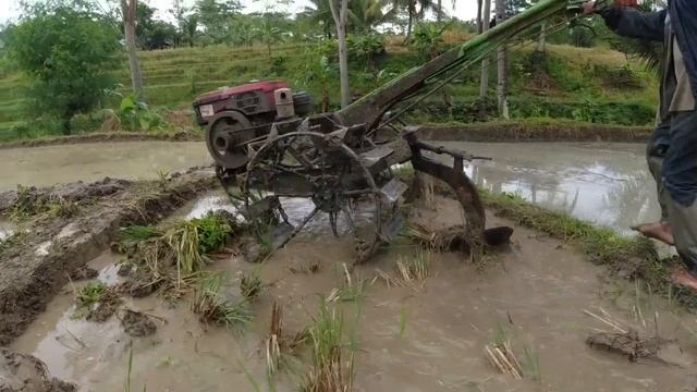 Agricultural Machinery #2023. The Dongfeng tractor plows the fields Traktor Sawah