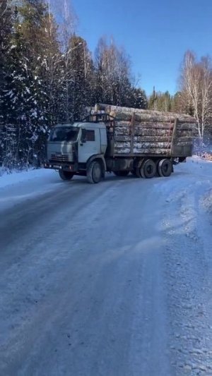 Едет КАМАЗ 30 — лесовоз в стиле хард-рок