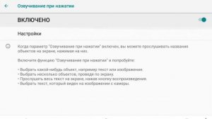 как включить специальные возможности?