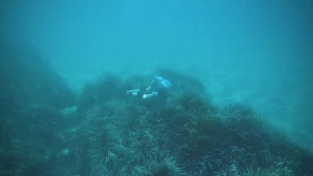 Cabo de gata 2020 смотреть онлайн