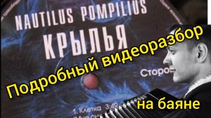 Наутилус Помпилиус - Крылья ПОДРОБНЫЙ ВИДЕОРАЗБОР!!! #набаяне #рокнабаяне #урокинабаяне