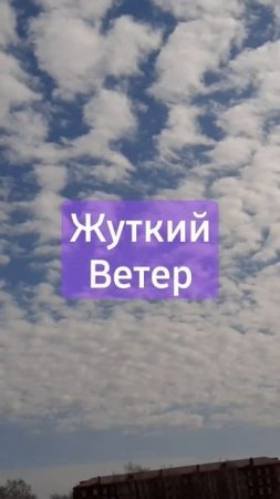 Первый штормовой ветер в 2023 году