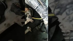 installation électrique Haima M3