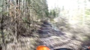 KTM 500 EXC-F trail riding
