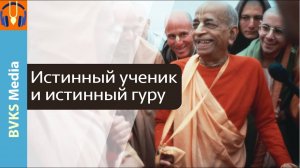 Истинный ученик и истинный гуру — Бхакти Викаша Свами