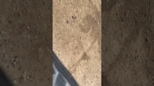 Задний фонарь черти тигго 7 про Макс на крышку багажника