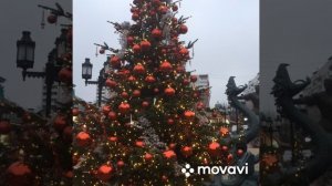Зима в Москве  в Тёплом стане . 26.01.2025 г.