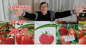 Обзор томатов на сезон 2025. Мои фавориты и новинки для меня.