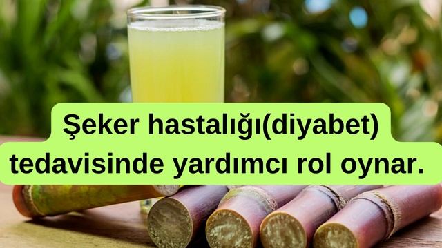 ŞEKER OTUNUN FAYDALARI смотреть онлайн