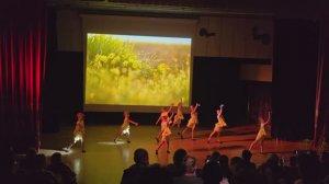 Солнечные зайчики