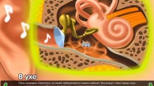 Как построено  наше ухо .Мультики для детей.