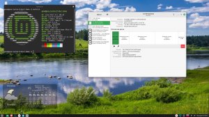 LinuxMint и диски с разбивкой от windows