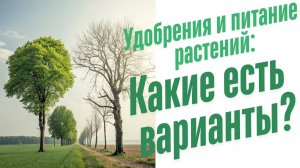 Роль удобрений в питании растений