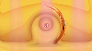 Sunny Bunnies Amazing Intro Effects: SUNNY BUNNIES TIME TO HOP BUT COCOMELON BABY JJ HEAD