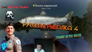 🦈Лосось Ладожский🐠 Русская Рыбалка 4🎣 Волхов