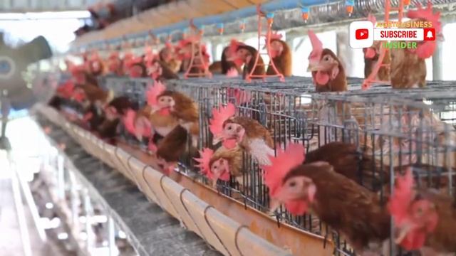 7 MOST Profitable Agribusiness Ideas In 2022 worth Millions (Worldwide)HD|Agriculture Business idea