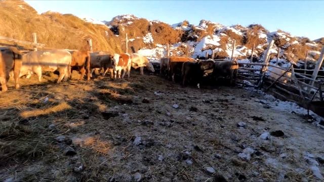 Мне пресс даром не нужен! У меня всё налажено годами.