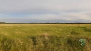 Решили ублажить деда Хабара, а что из этого вышло, Вы узнаете в конце видео.