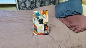 Сухой корм для котят Florida