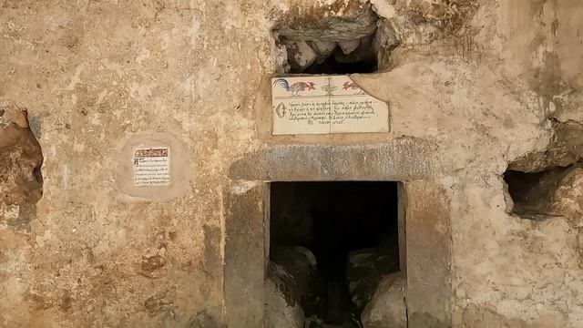 one of worlds oldest and biggest Plane trees in Krasi Crete, with a perimeter from 14,60 meters! смотреть онлайн