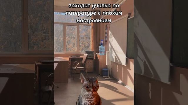 мой день в школе. #школа #коты #мойденьвшколе #пятёрочка #смешно #кошки