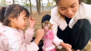 Smart monkey Annie goes on a picnic with her mother
