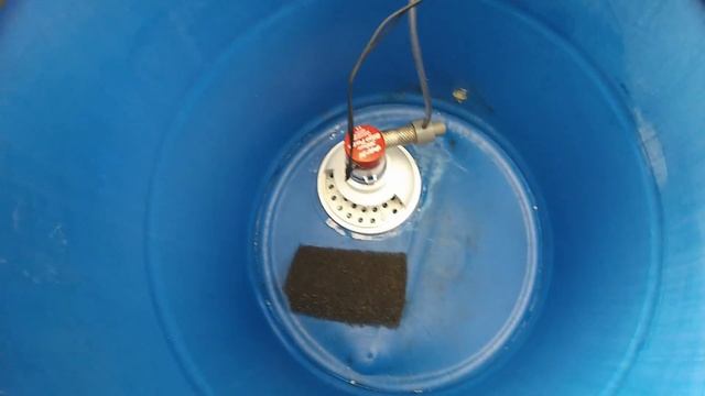Best homemade aeration,filtration,circulation system for bait tanks