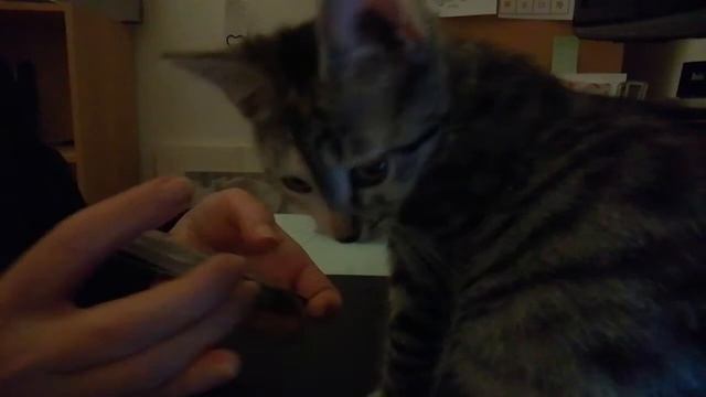 Формирование реальности в условиях экстремальности😂 смотреть онлайн