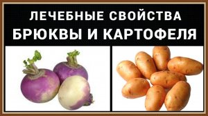 ПОЛЕЗНЫЕ СВОЙСТВА БРЮКВЫ И КАРТОФЕЛЯ