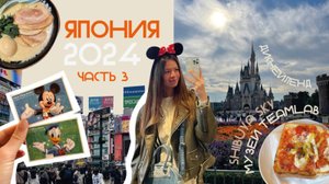 VLOG:ЯПОНИЯ, токийский ДИСНЕЙЛЕНД | музей TEAMLAB, смотровая площадка на СИБУЯ и РАМЕННЫЕ
