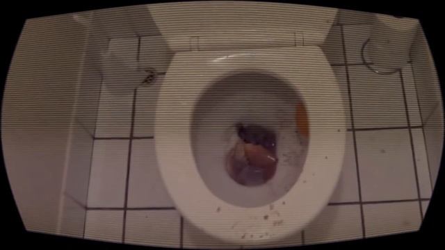 How To Destroy TV (Chuck Norris Style) (Howtobasic)