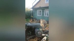 Арт объект из напиленного вяза для немецкой овчарки