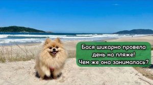 Бася шикарно провела день на пляже! Чем же она занималась?