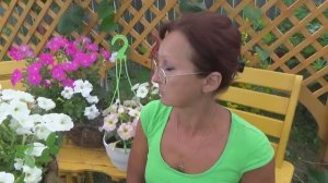 6 соток 14 июля 2020 года. Кошка и валериана на капусте...