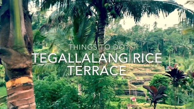 BEST THINGS TO DO IN UBUD BALI (2022) - Gates of Heaven, Bali Swing!