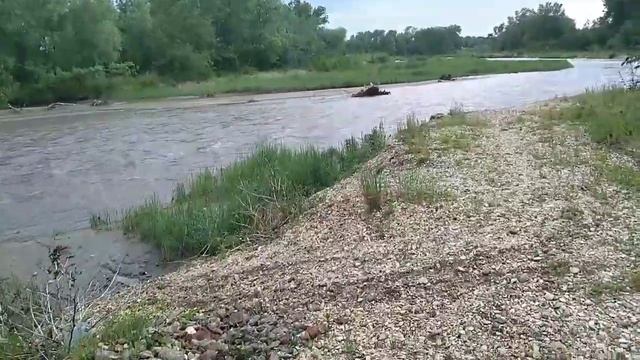 ГОТОВЛЮ ОБЕД🍲НАШИ ПОКУПКИ! смотреть онлайн