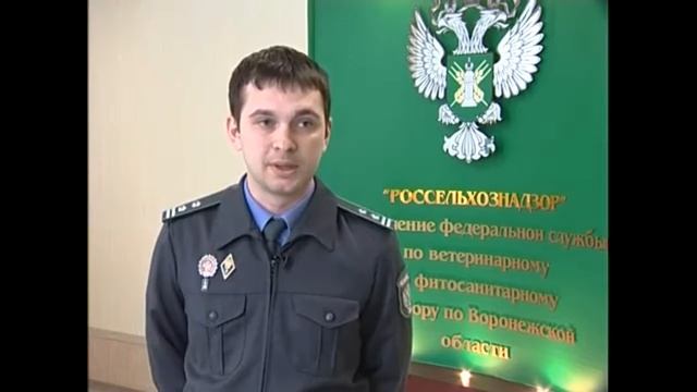 Фальшивое мясо смотреть онлайн