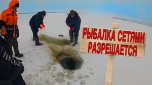 СЕТЯМИ ЛОВИТЬ МОЖНО Раттлин ловит СУДАКОВ Рыбалка со льда 2025