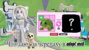 ?Что дают за черепаху в ADOPT ME? Turtle adopt me!?