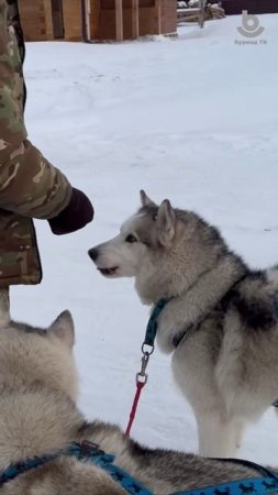 А как вы проводите свои выходные?