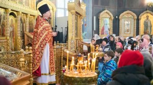 Проповедь протоиерея Александра Соколова 25.01.2025г