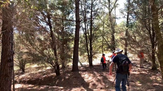 IDIDAHIKE 2020 - Radar Hill смотреть онлайн