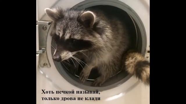 Странности есть везде. Часть 7 смотреть онлайн