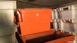 Секрет от Вермера.  Полезно для тех, кто хочет купить коконы или малька Дендробены .